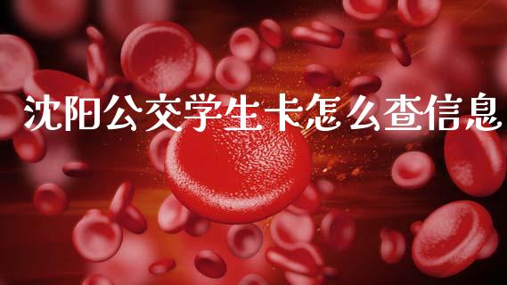沈阳公交学生卡怎么查信息_https://m.ycdhulan.com_理财产品_第1张