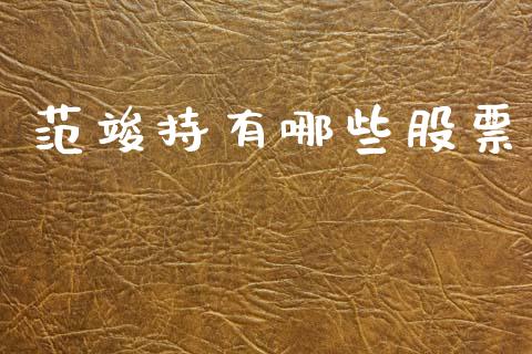范竣持有哪些股票_https://m.ycdhulan.com_财经要闻_第1张