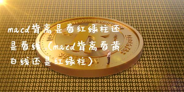 macd背离是看红绿柱还是看线（macd背离看黄白线还是红绿柱）_https://m.ycdhulan.com_财经要闻_第1张