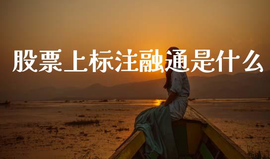 股票上标注融通是什么_股市在线_第1张_财经要闻_股市在线_理财产品_国际金融 股票上标注融通是什么_https://m.ycdhulan.com_股市在线_第1张