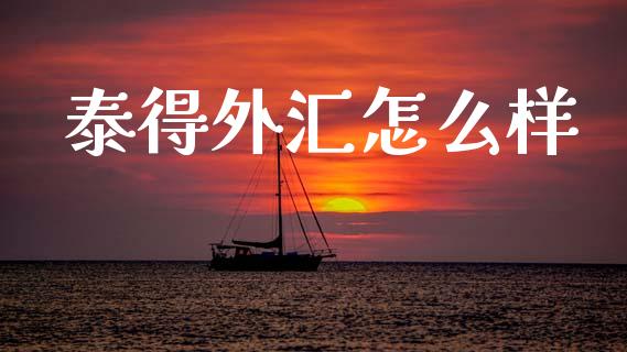 泰得外汇怎么样_https://m.ycdhulan.com_财经要闻_第1张