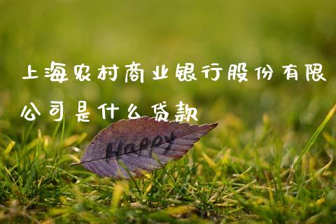 上海农村商业银行股份有限公司是什么贷款_https://m.ycdhulan.com_期货交易_第1张