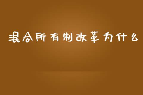 混合所有制改革为什么_https://m.ycdhulan.com_财经要闻_第1张