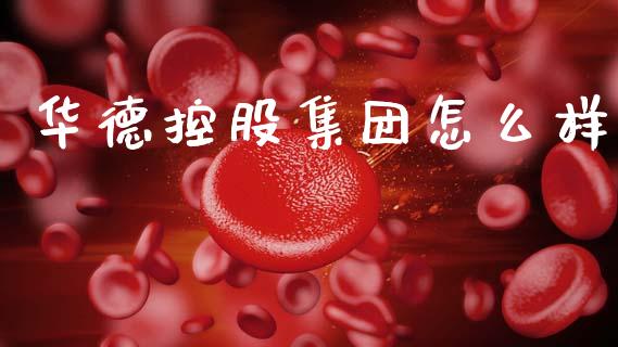 华德控股集团怎么样_https://m.ycdhulan.com_国际金融_第1张