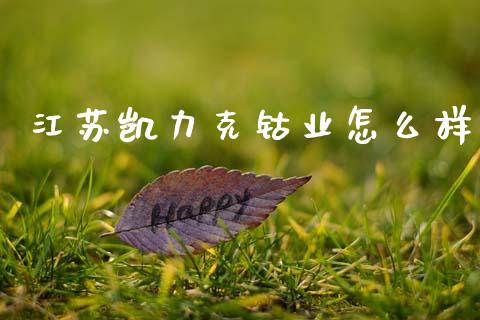 江苏凯力克钴业怎么样_https://m.ycdhulan.com_理财产品_第1张