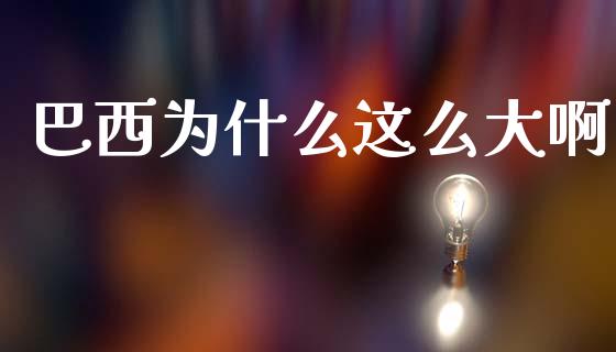 巴西为什么这么大啊_https://m.ycdhulan.com_国际金融_第1张