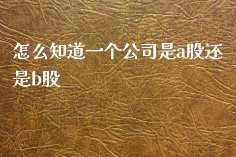 怎么知道一个公司是a股还是b股_https://m.ycdhulan.com_期货交易_第1张
