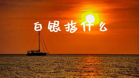 白银指什么_https://m.ycdhulan.com_财经要闻_第1张