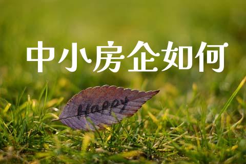 中小房企如何_https://m.ycdhulan.com_股市在线_第1张