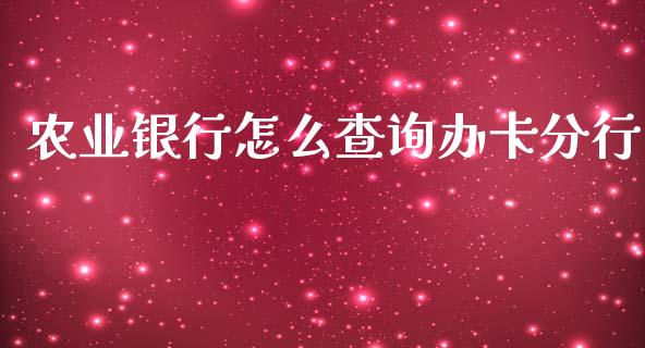 农业银行怎么查询办卡分行_https://m.ycdhulan.com_财经要闻_第1张