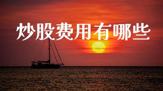 炒股费用有哪些_https://m.ycdhulan.com_财经要闻_第1张
