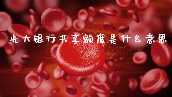 光大银行共享额度是什么意思_https://m.ycdhulan.com_财经要闻_第1张