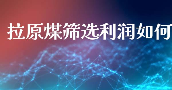 拉原煤筛选利润如何_https://m.ycdhulan.com_理财产品_第1张