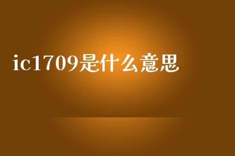 ic1709是什么意思_https://m.ycdhulan.com_国际金融_第1张