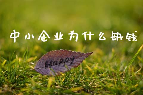 中小企业为什么缺钱_https://m.ycdhulan.com_国际金融_第1张