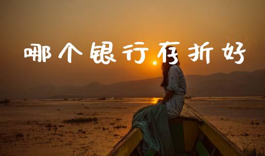 哪个银行存折好_https://m.ycdhulan.com_理财产品_第1张