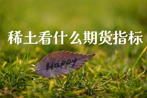 稀土看什么期货指标_https://m.ycdhulan.com_国际金融_第1张