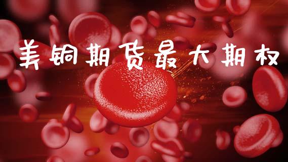 美铜期货最大期权_https://m.ycdhulan.com_证券新闻_第1张