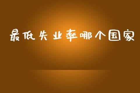 最低失业率哪个国家_https://m.ycdhulan.com_理财产品_第1张