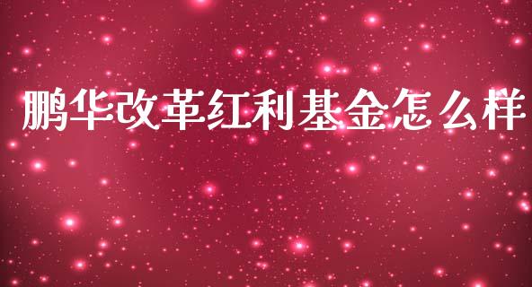 鹏华改革红利基金怎么样_https://m.ycdhulan.com_国际金融_第1张