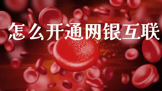 怎么开通网银互联_https://m.ycdhulan.com_股市在线_第1张