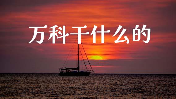 万科干什么的_https://m.ycdhulan.com_理财产品_第1张