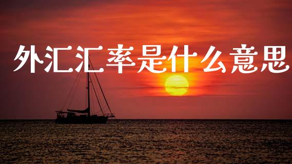 外汇汇率是什么意思_https://m.ycdhulan.com_国际金融_第1张