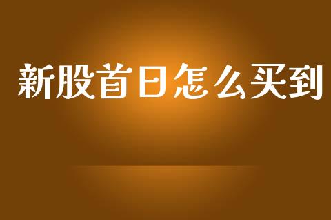 新股首日怎么买到_https://m.ycdhulan.com_财经要闻_第1张