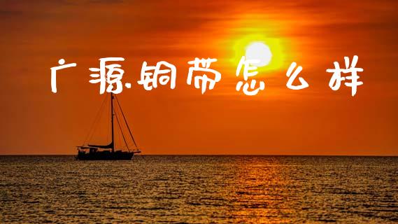 广源铜带怎么样_https://m.ycdhulan.com_国际金融_第1张