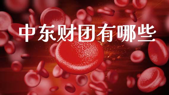 中东财团有哪些_https://m.ycdhulan.com_股市在线_第1张