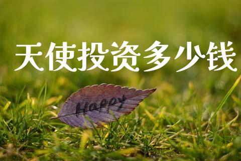 天使投资多少钱_https://m.ycdhulan.com_财经要闻_第1张