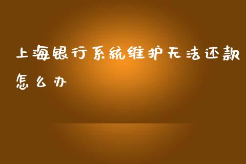 上海银行系统维护无法还款怎么办_https://m.ycdhulan.com_财经要闻_第1张