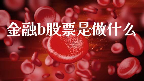 金融b股票是做什么_https://m.ycdhulan.com_财经要闻_第1张