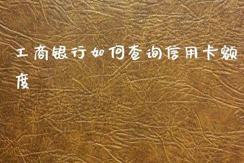 工商银行如何查询信用卡额度_https://m.ycdhulan.com_国际金融_第1张