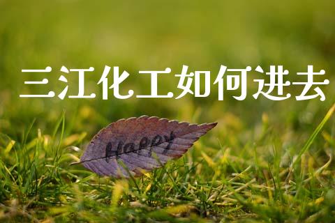 三江化工如何进去_https://m.ycdhulan.com_证券新闻_第1张