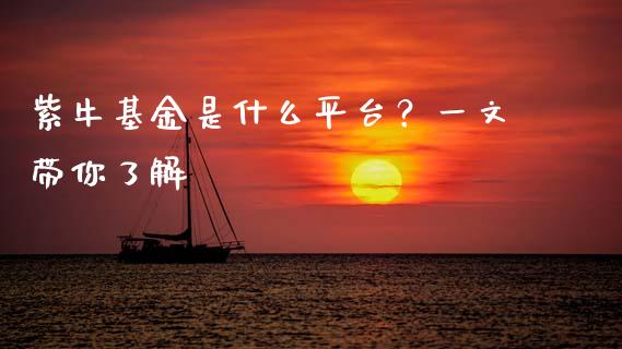 紫牛基金是什么平台?一文带你了解_理财产品_第1张_财经要闻_股市在线_理财产品_国际金融 紫牛基金是什么平台?一文带你了解_https://m.ycdhulan.com_理财产品_第1张