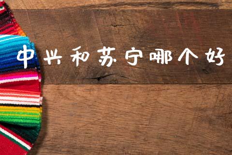 中兴和苏宁哪个好_https://m.ycdhulan.com_理财产品_第1张