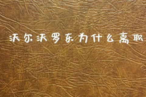 沃尔沃罗东为什么离职_https://m.ycdhulan.com_财经要闻_第1张