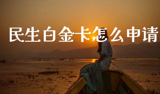 民生白金卡怎么申请_https://m.ycdhulan.com_股市在线_第1张
