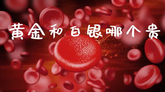 黄金和白银哪个贵_https://m.ycdhulan.com_财经要闻_第1张