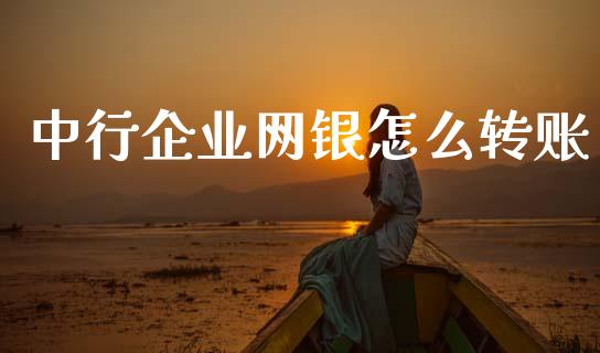中行企业网银怎么转账_https://m.ycdhulan.com_国际金融_第1张
