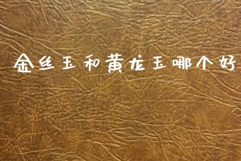 金丝玉和黄龙玉哪个好_https://m.ycdhulan.com_股市在线_第1张