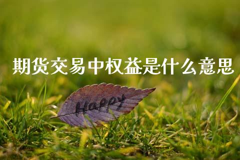 期货交易中权益是什么意思_股市在线_第1张_财经要闻_股市在线_理财产品_国际金融 期货交易中权益是什么意思_https://m.ycdhulan.com_股市在线_第1张