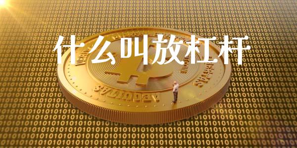 什么叫放杠杆_https://m.ycdhulan.com_证券新闻_第1张