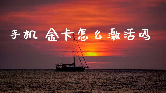 手机 金卡怎么激活吗_https://m.ycdhulan.com_股市在线_第1张