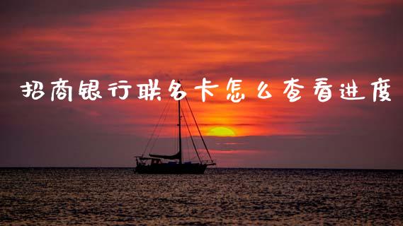 招商银行联名卡怎么查看进度_https://m.ycdhulan.com_期货交易_第1张