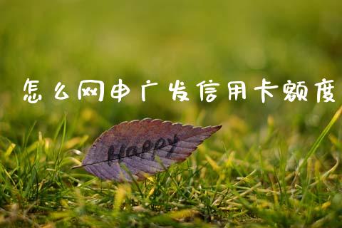 怎么网申广发信用卡额度_https://m.ycdhulan.com_财经要闻_第1张