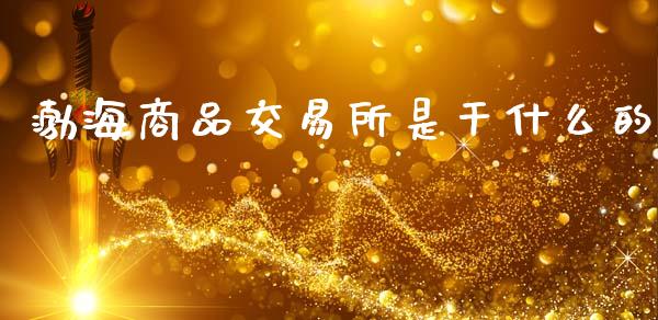 渤海商品交易所是干什么的_https://m.ycdhulan.com_证券新闻_第1张