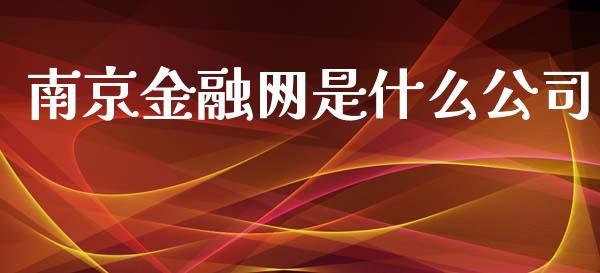 南京金融网是什么公司_https://m.ycdhulan.com_证券新闻_第1张