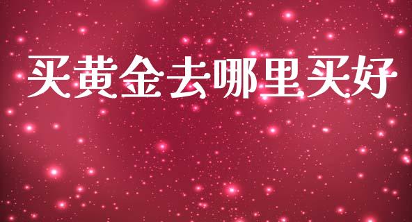 买黄金去哪里买好_https://m.ycdhulan.com_理财产品_第1张